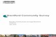Brentford community survey draft report 280710