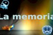 La memoria. 1. Las etapas de la memoria 2. Almacenamiento de la memoria 3. Niveles de procesamiento 4. Bases biológicas de la memoria 5. Recuperación.