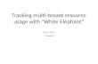 Tracking multi-tenant resource usage with "White Elephant"