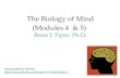 Introductory Psychology: Biopsychology
