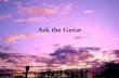 Ask The Geese Devotional