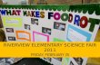 Riverview Elementary Science Fair 2011