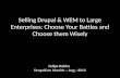 Selling Drupal & WEM to Large Enterprises: Choose Your Battles & Choose them Wisely