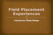 Field placement experiences