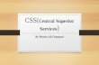 Css(central superior services) by miss marzia