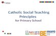 Catholic social teaching principles