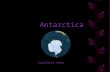 Antartica Lc