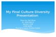 Final cultural diversity presentation