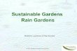 Australia: Sustainable Rain Gardens