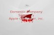 Domestic company summary