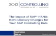 Con2012 salmon impact_of_sap_hana_revolutionary_changes_for_sap_controlling_data