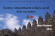 Some important cities and the rooster