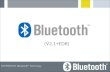 Bluetooth V2.1