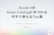 Xcode 5のAsset Catalogにまつわる今すぐ使えるTips集