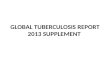 Global tuberculosis report 2013 supplement