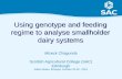 Using genotype and feeding regime to analyse smallholder dairy systems
