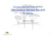 Lasco - Lessons learned from RUPES: The Carbon Market for A/R Projects