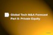 Tech M&A Monthly: Private Equity Panel - Feb. 2013