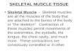 2.  skeletal muscle tissue