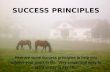 Success principles