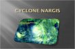 Cyclone Nargis Pres