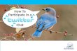 How to Participate in a Twitter Chat