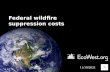 Up in smoke: federal wildfire suppression costs are rising