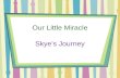 Skyes Journey - Battling Prematurity, Autism and Mitochondrial Disease