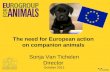 ICAWC 2011: Sonja Van Tichelen - European Protection for Animals