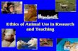 Research Methods: Ethics II (Animal Research)