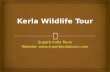 Kerla wildlife tour