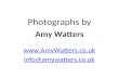 Photographs By Amy Watters