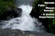 Mount Rainier  Narada Falls