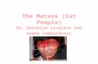 The matses (cat people)