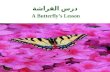 A butterfly’s lesson in arabic درس الفراشة رائع