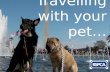 RSPCA - Go on holidays with your pet!