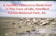 The cave of life, petrified forest national