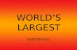 Worlds Largest Everything