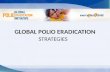 Global polio eradication