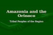 Amazonia and the Orinoco