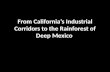 Outsourcing Climate Solutions: CA to Chiapas