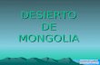 Desierto De Mongolia