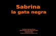 Sabrina la gata negra Foreign Language House Diane Farrug and Catherine Fortin Copyright 2008 Images by classroomclipart.com.