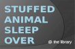 Stuffed animal sleep over