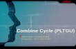 PLTGU Combine cycle