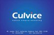 2011  Culvice  Company  Introduction
