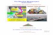 Trans harbour relocation_of_mumbai_port