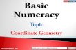 Basic numeracy-coordinate-geometry