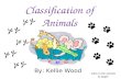C:\Fakepath\Classification Of Animals