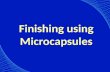 Microencapsulation Techniques